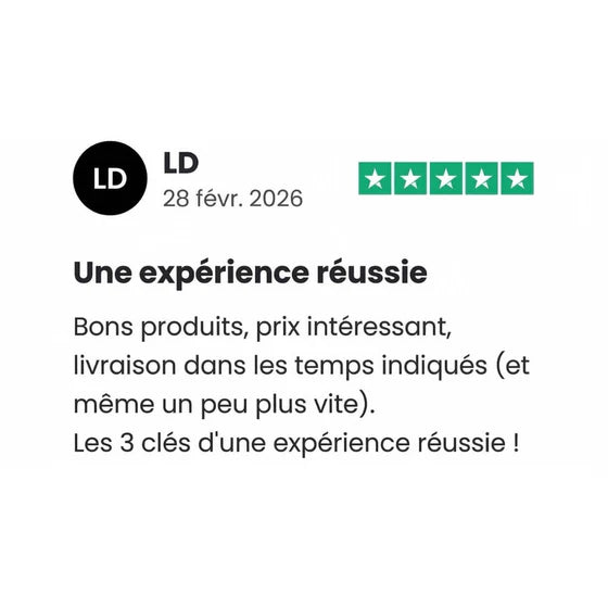 Review 9